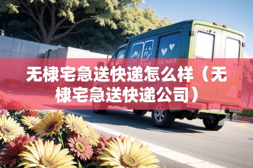 無棣宅急送快遞怎么樣（無棣宅急送快遞公司）