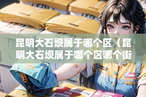 昆明大石壩屬于哪個(gè)區(qū)（昆明大石壩屬于哪個(gè)區(qū)哪個(gè)街道）