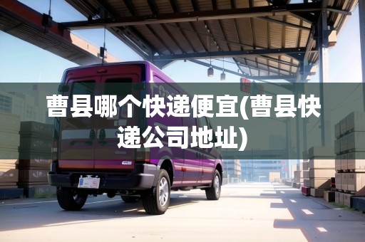 曹縣哪個快遞便宜(曹縣快遞公司地址)