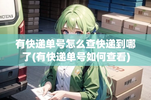 有快遞單號怎么查快遞到哪了(有快遞單號如何查看)