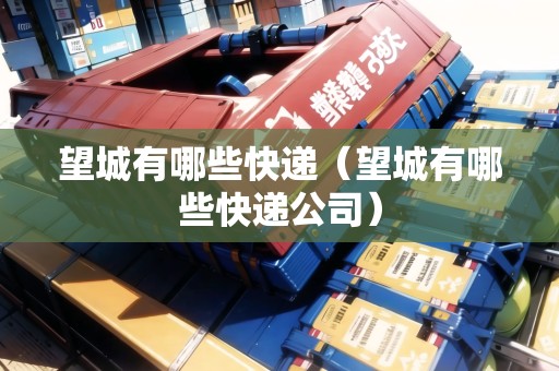望城有哪些快遞（望城有哪些快遞公司）