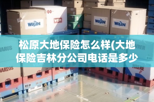 松原大地保險(xiǎn)怎么樣(大地保險(xiǎn)吉林分公司電話是多少號)