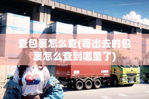查包裹怎么查(寄出去的包裹怎么查到哪里了)
