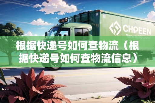 根據(jù)快遞號如何查物流（根據(jù)快遞號如何查物流信息）