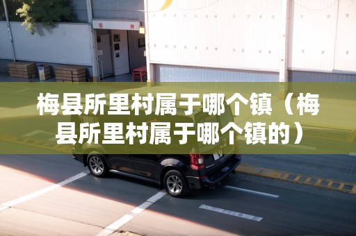 梅縣所里村屬于哪個鎮(zhèn)（梅縣所里村屬于哪個鎮(zhèn)的）