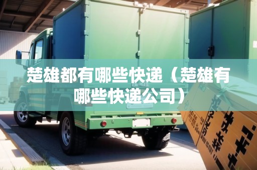 楚雄都有哪些快遞（楚雄有哪些快遞公司）
