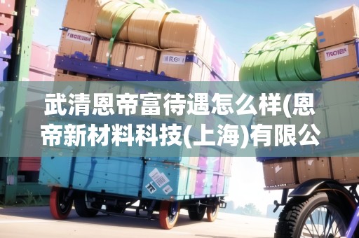 武清恩帝富待遇怎么樣(恩帝新材料科技(上海)有限公司)