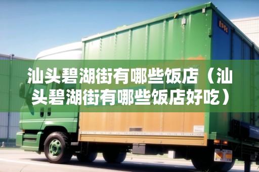 汕頭碧湖街有哪些飯店（汕頭碧湖街有哪些飯店好吃）