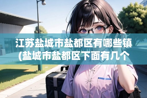 江蘇鹽城市鹽都區(qū)有哪些鎮(zhèn)(鹽城市鹽都區(qū)下面有幾個鎮(zhèn))