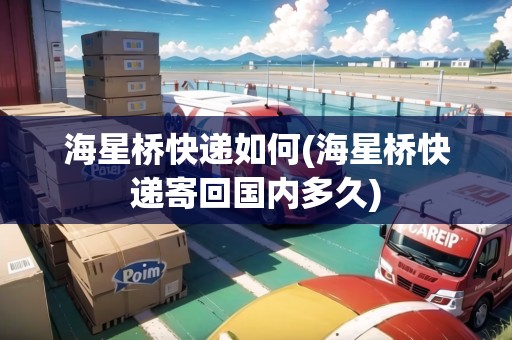海星橋快遞如何(海星橋快遞寄回國(guó)內(nèi)多久)