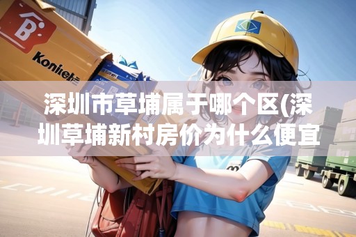 深圳市草埔屬于哪個區(qū)(深圳草埔新村房價為什么便宜很多)