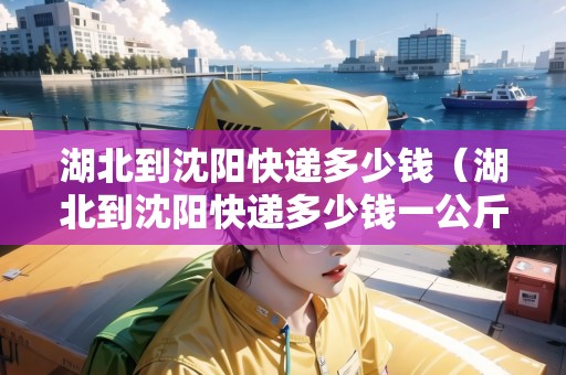 湖北到沈陽快遞多少錢（湖北到沈陽快遞多少錢一公斤）