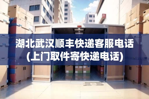 湖北武漢順豐快遞客服電話(上門(mén)取件寄快遞電話)