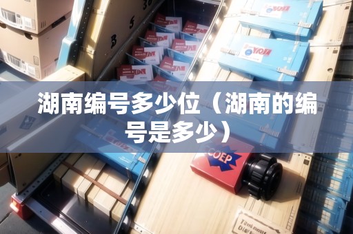 湖南編號多少位（湖南的編號是多少）