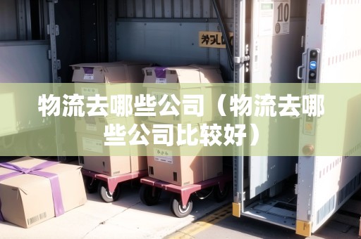 物流去哪些公司（物流去哪些公司比較好）