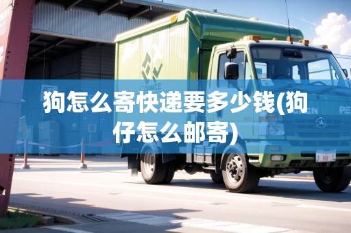 狗怎么寄快遞要多少錢(狗仔怎么郵寄)