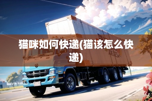 貓咪如何快遞(貓該怎么快遞)