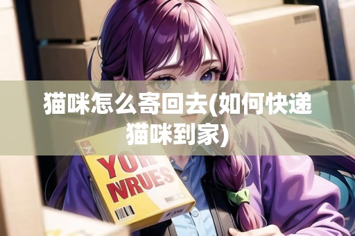 貓咪怎么寄回去(如何快遞貓咪到家)