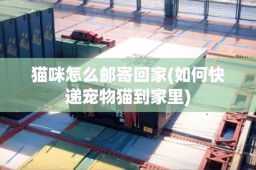 貓咪怎么郵寄回家(如何快遞寵物貓到家里)