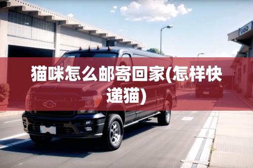 貓咪怎么郵寄回家(怎樣快遞貓)