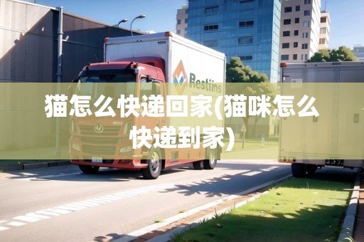 貓怎么快遞回家(貓咪怎么快遞到家)