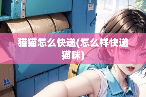 貓貓怎么快遞(怎么樣快遞貓咪)