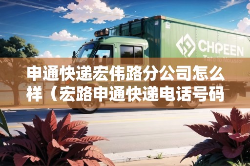 申通快遞宏偉路分公司怎么樣（宏路申通快遞電話號(hào)碼）