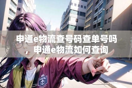 申通e物流查號碼查單號嗎，申通e物流如何查詢