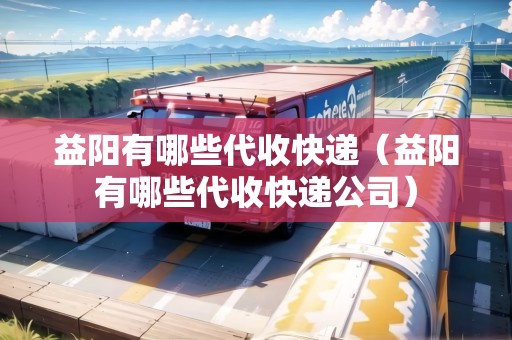 益陽有哪些代收快遞（益陽有哪些代收快遞公司）