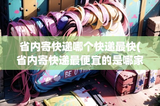 省內(nèi)寄快遞哪個(gè)快遞最快(省內(nèi)寄快遞最便宜的是哪家公司)