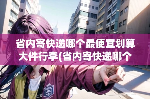 省內(nèi)寄快遞哪個(gè)最便宜劃算大件行李(省內(nèi)寄快遞哪個(gè)比較快)