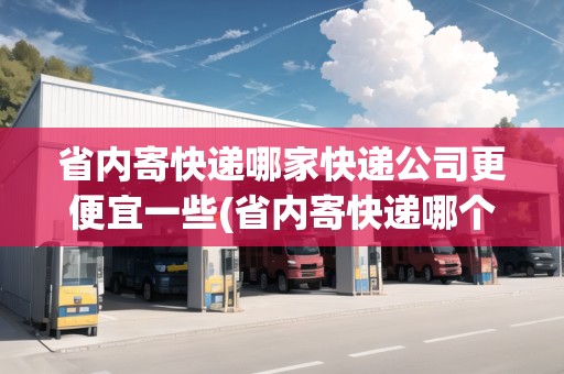 省內(nèi)寄快遞哪家快遞公司更便宜一些(省內(nèi)寄快遞哪個(gè)比較快)