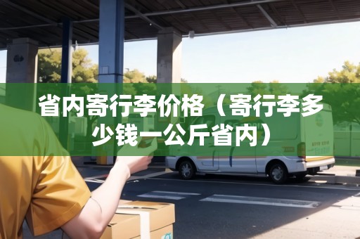 省內(nèi)寄行李價格（寄行李多少錢一公斤省內(nèi)）