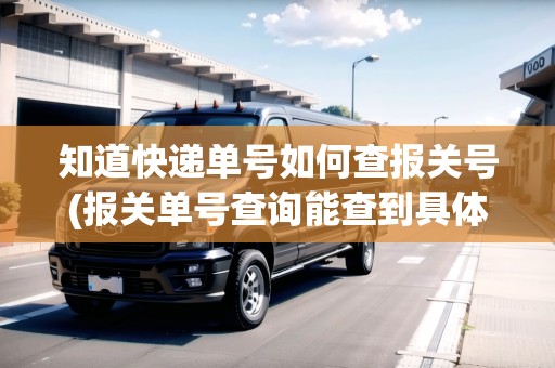 知道快遞單號(hào)如何查報(bào)關(guān)號(hào)(報(bào)關(guān)單號(hào)查詢能查到具體信息嗎)