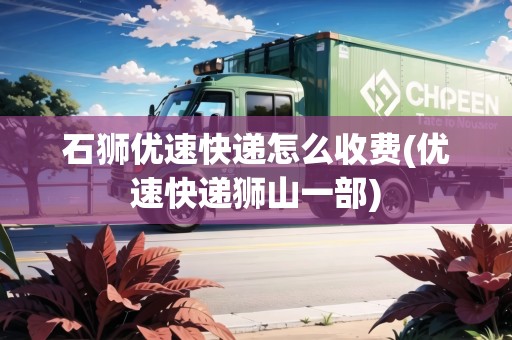 石獅優(yōu)速快遞怎么收費(優(yōu)速快遞獅山一部)