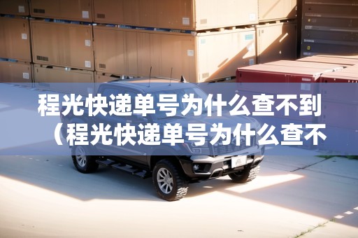 程光快遞單號為什么查不到（程光快遞單號為什么查不到物流信息）
