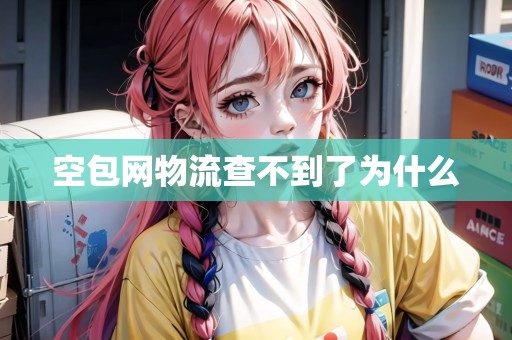 空包網(wǎng)物流查不到了為什么