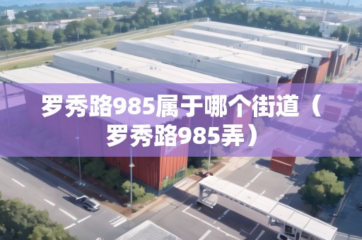 羅秀路985屬于哪個(gè)街道（羅秀路985弄）