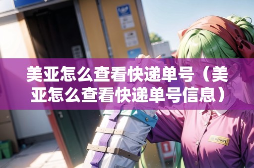 美亞怎么查看快遞單號（美亞怎么查看快遞單號信息）