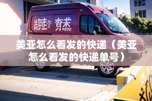 美亞怎么看發(fā)的快遞（美亞怎么看發(fā)的快遞單號）