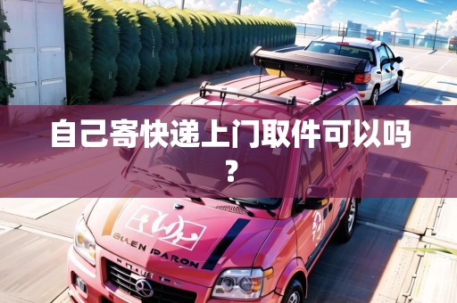 自己寄快遞上門取件可以嗎？