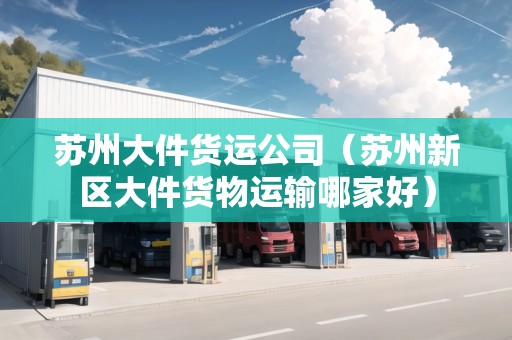 蘇州大件貨運公司（蘇州新區(qū)大件貨物運輸哪家好）