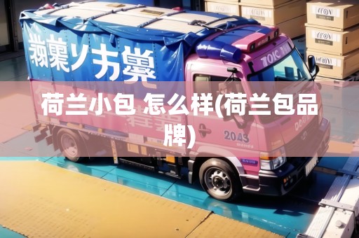 荷蘭小包 怎么樣(荷蘭包品牌)
