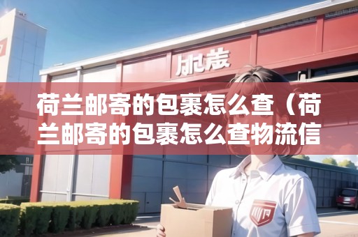 荷蘭郵寄的包裹怎么查（荷蘭郵寄的包裹怎么查物流信息）