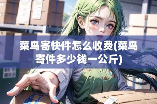 菜鳥(niǎo)寄快件怎么收費(fèi)(菜鳥(niǎo)寄件多少錢一公斤)