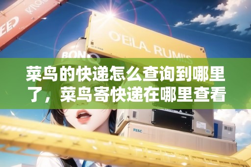 菜鳥的快遞怎么查詢到哪里了，菜鳥寄快遞在哪里查看物流