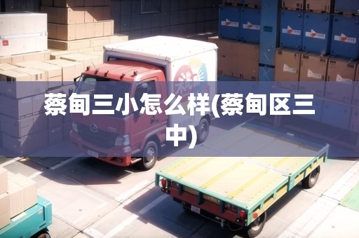 蔡甸三小怎么樣(蔡甸區(qū)三中)