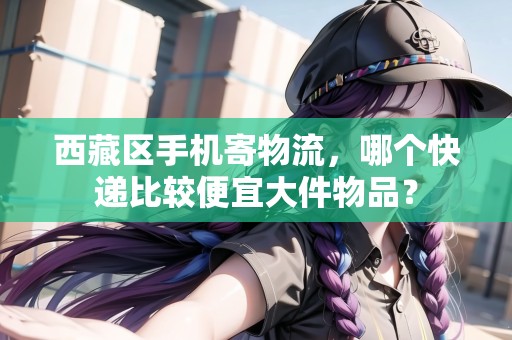 西藏區(qū)手機寄物流，哪個快遞比較便宜大件物品？