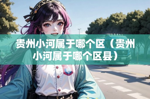 貴州小河屬于哪個區(qū)（貴州小河屬于哪個區(qū)縣）