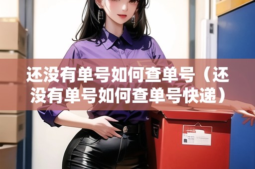 還沒有單號如何查單號（還沒有單號如何查單號快遞）